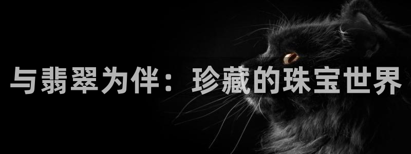 新航娱乐app官方下载
