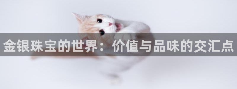 新航娱乐代理