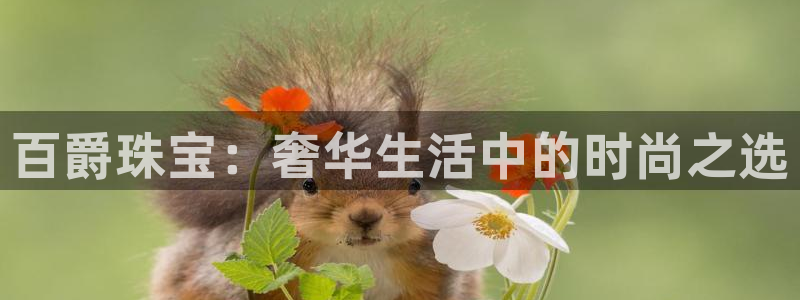 新航娱乐怎么样