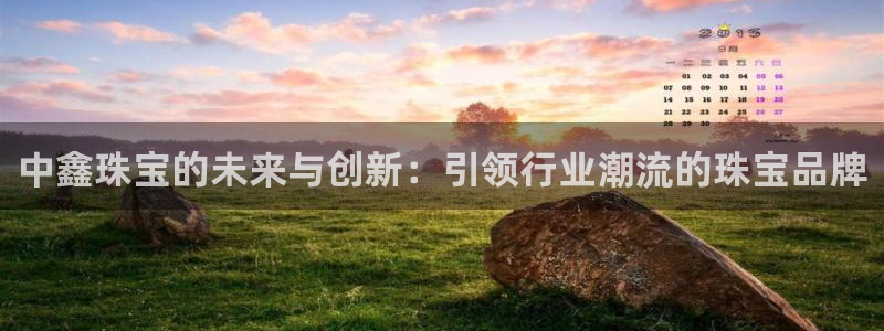 新航娱乐公司问题
