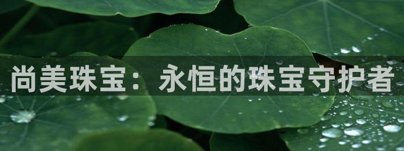 新航娱乐传媒招聘电话