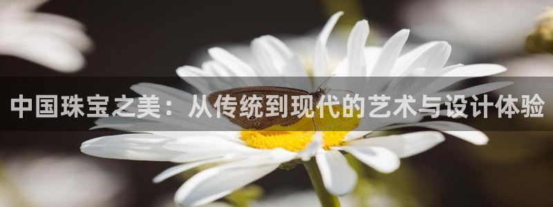 新航娱乐街7O935