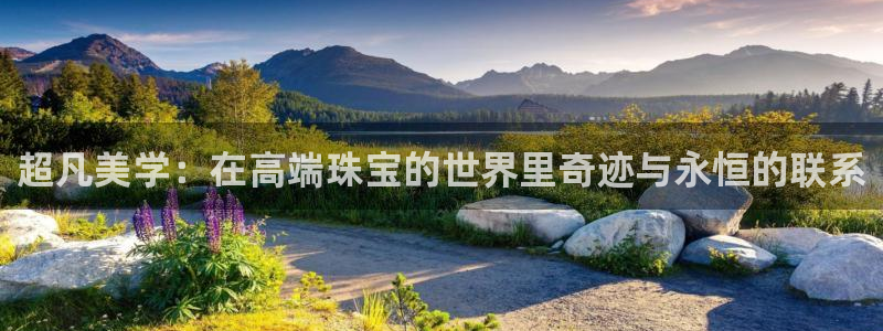 武汉中创新航娱乐室：超凡美学：在高端珠宝的世界里奇迹与永恒的
