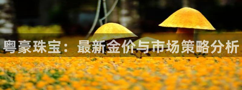 新航娱乐app下载安装：粤豪珠宝：最新金价与市场策略分析