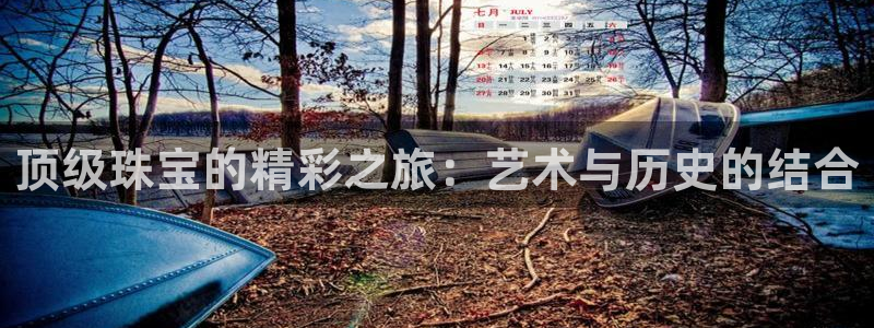 新航城娱乐传媒有限公司：顶级珠宝的精彩之旅：艺术与历史的结合