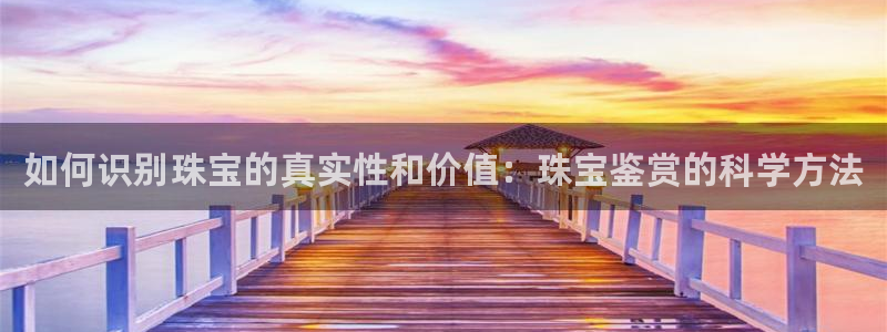 新航娱乐公司艺人