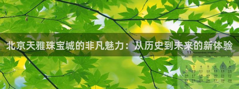 新航娱乐有限公司地址：北京天雅珠宝城的非凡魅力：从历史到未来
